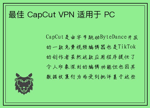 最佳 CapCut VPN 适用于 PC 